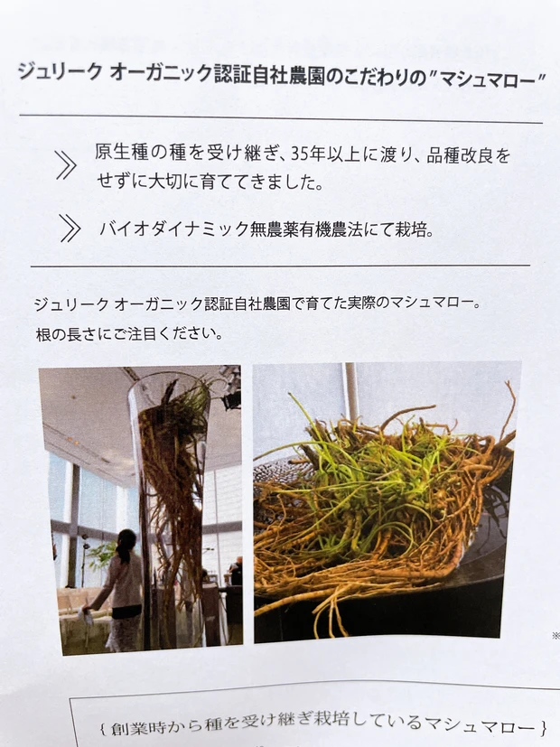 脳がほぐれたレベルの癒しの香り♡ジュリークのサスティナブル化粧水_2