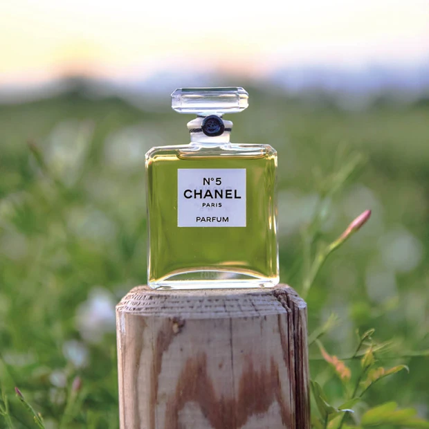 【シャネル N°5】“星の花”ジャスミンが咲き誇るフランスの都市グラースへ。名香の魅力を紐解く