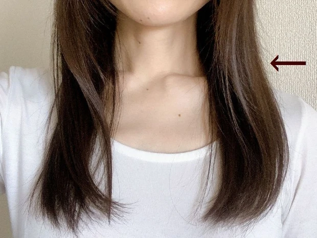 ブラッシングだけ