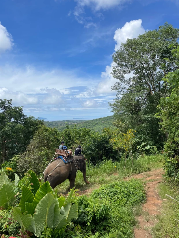 プーケット　象乗り