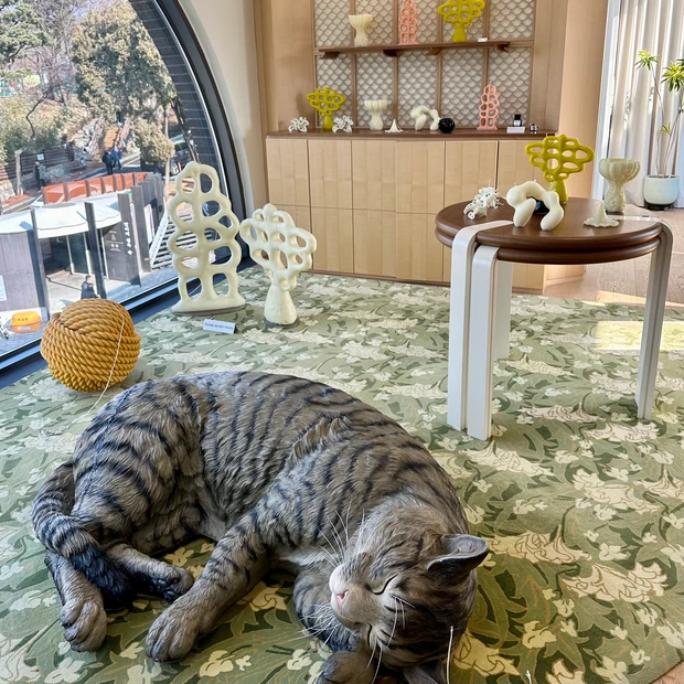 タンバリンズ 三清店 TAMBURINS