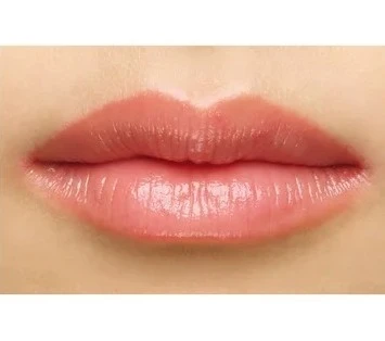 セルヴォーク アラウズ リップス 13