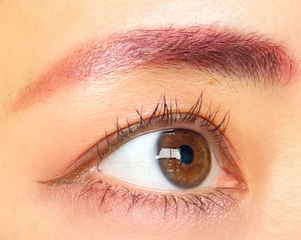 Wonjungyo ウォンジョンヨ Wデイリームードアップパレット 韓国コスメ TWICE