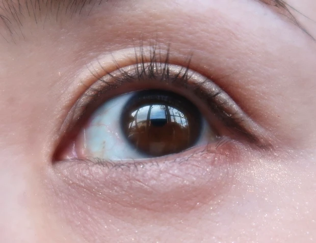 CANMAKE  プランぷくコーデアイズのマットと血色影