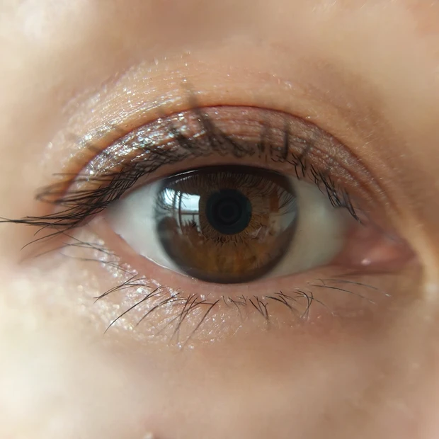 インフィニシェイド シングル アイシャドウ21 メイクスウォッチ