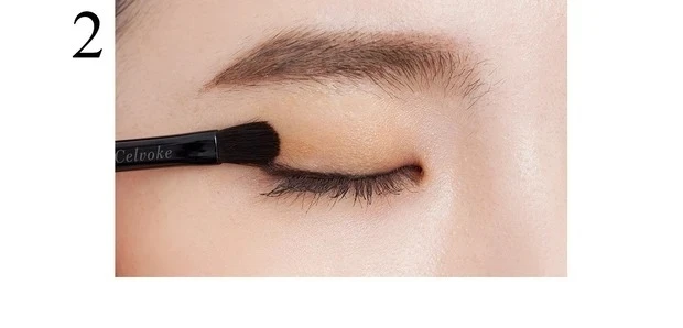 【一重アイメイク】セルヴォーク ヴォランタリーベイシス アイパレットの使い方_2