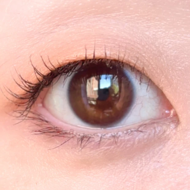 フジコ　アイシャドウ　ベスコス