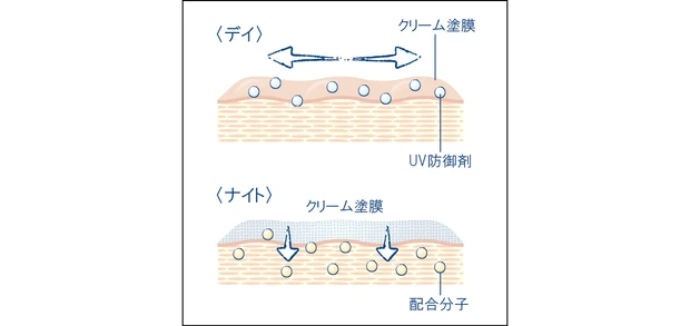 美容 成分 クリーム　カネボウ イン　デイII  クリーム　イン　ナイトII 3
