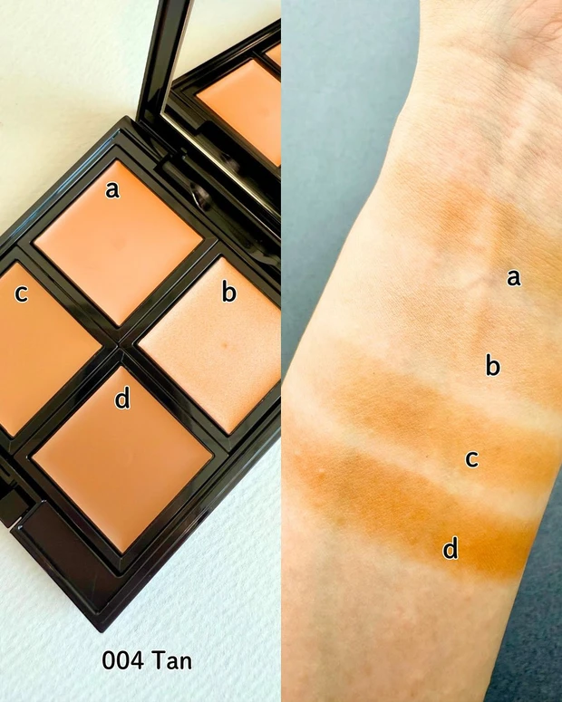 アディクション スキンリフレクト フレッシュ コンシーラー 004