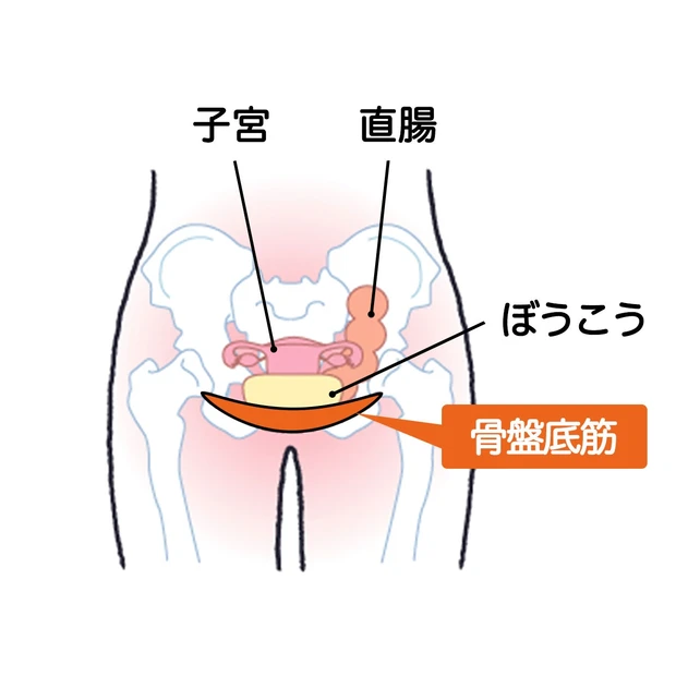 尿もれ・膣のゆるみや乾燥に!痛みが気にならない最新治療【膣レーザー】でデリケートゾーンのお悩みを解消_3