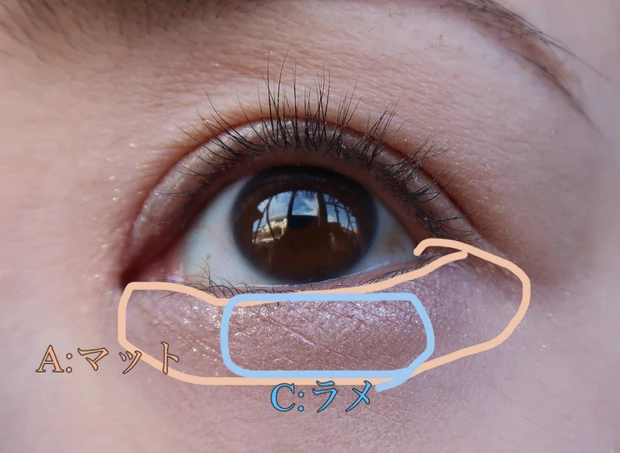 CANMAKE  プランぷくコーデアイズの使用色見