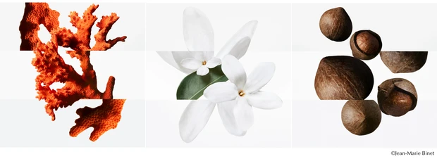 エルメス HERMES 香水 フレグランス 珊瑚礁の庭 香り 花