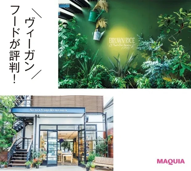 【クリーンビューティ】SDGs13「気候変動に具体的な対策を」_10
