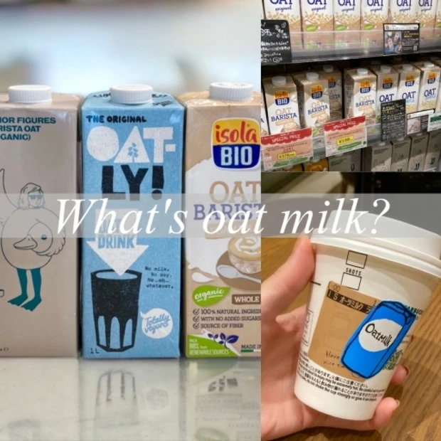 植物性ミルクのニュースター【オーツミルク】って？？コーヒーに合うおすすめブランド3選や自家製オーツミルクの作り方も紹介！