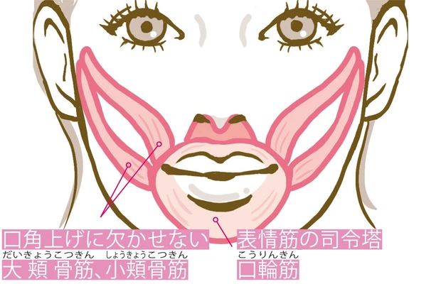 ベロ上げとにっこりスマイルで口元美人に