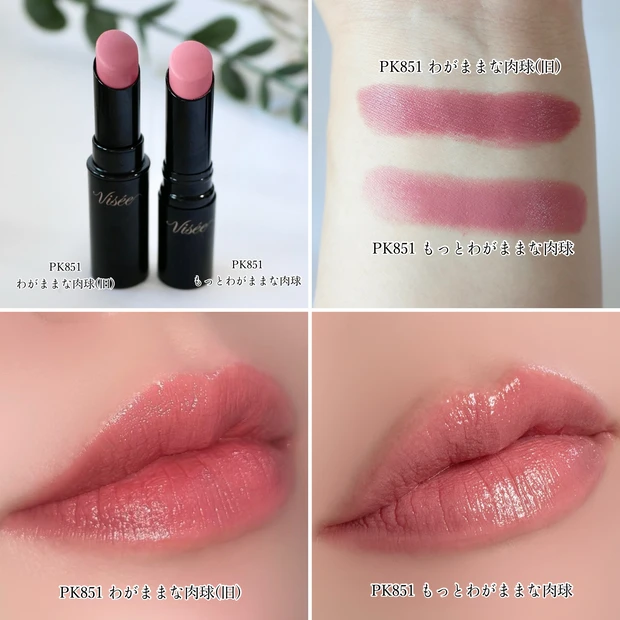 ヴィセ ネンマクフェイクルージュ Ⅱ 2 比較 PK851 もっとわがままな肉球