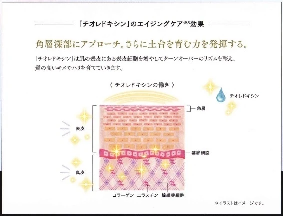 【オトナ肌ケア】すべての肌悩みの原因はハリ・弾力低下?!美肌のコアにアプローチ!!『FANCL コアエフェクター』_3