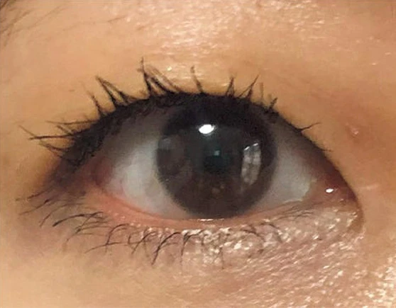 ウォンジョンヨ ヌードアイラッシュのスウォッチ After