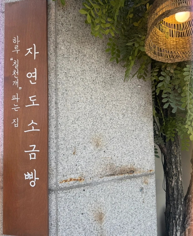 韓国美容の最前線!聖水(ソンス)で1日コスメスポット巡り♡2025女子旅おすすめコース_5