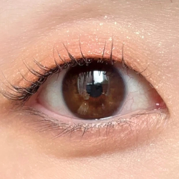 トーン クリスマスコフレ 2024