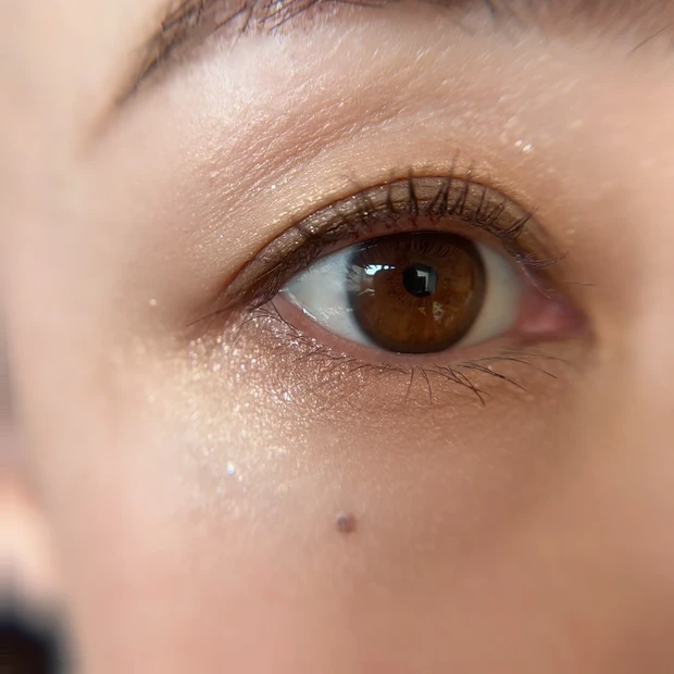 シグニチャーカラーアイズ14 目元スウォッチ