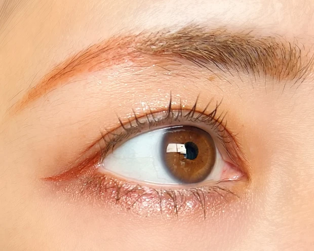 CANMAKE キャンメイク プティパレットアイズ アマンドブリュレ