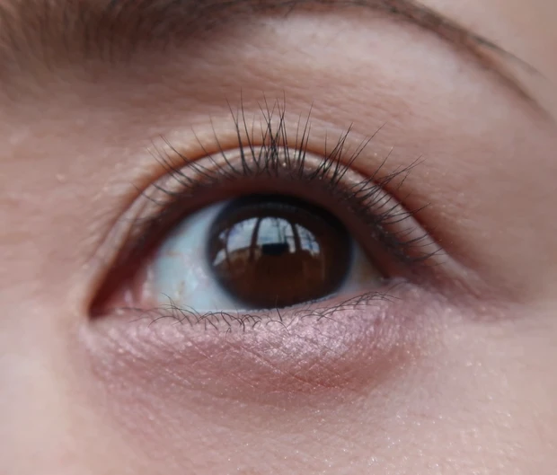 CANMAKE  プランぷくコーデアイズのパールと血色影