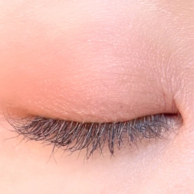 フジコ　アイシャドウ　ベスコス