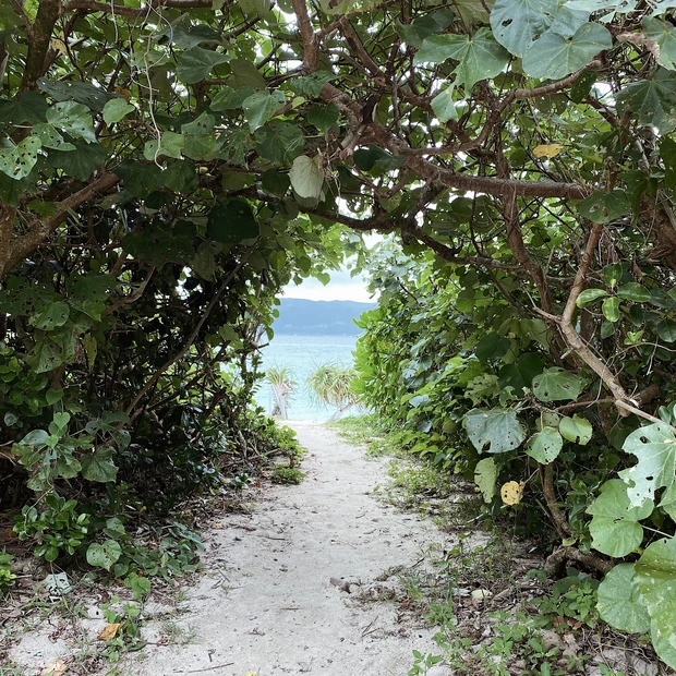 最近よく聞く"クリーンビューティー"って?雪肌精クリアウェルネスで自分も地球も美しくなる在り方。_3