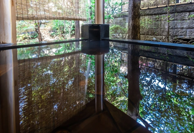 さやの湯処の貸切半露天風呂