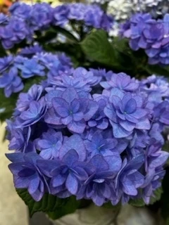 自己紹介をさせてくださいまし…☆_2_2