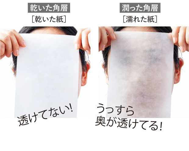 乾いた角層と乾いた角層の違い