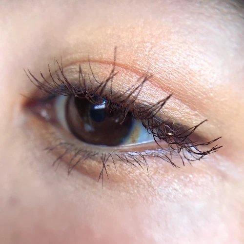 【celvoke】AWのトレンドはマスタードとカーキ、オレンジ!使えば一気におしゃれ顔になれるパレットは必見!!_4_1