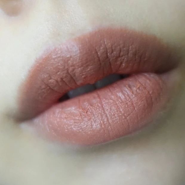 中国コスメ INTOU INTOYOU スーパーマットリップ＆チークマッド マルチコスメ 泥テクスチャー バズりコスメ　EM05 美人シナモン