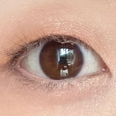 コスメデコルテ　アイシャドウパレット　イエベ