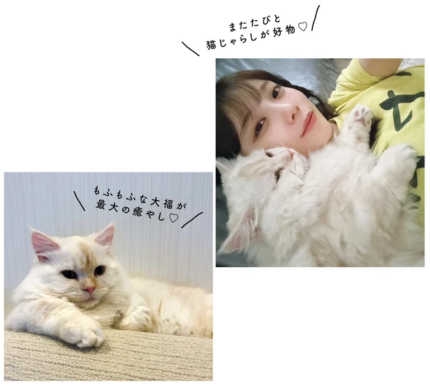 与田祐希 　スナップ　大福　ペット