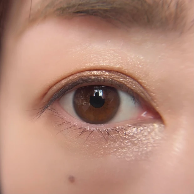 シグニチャーカラーアイズ14 使い方