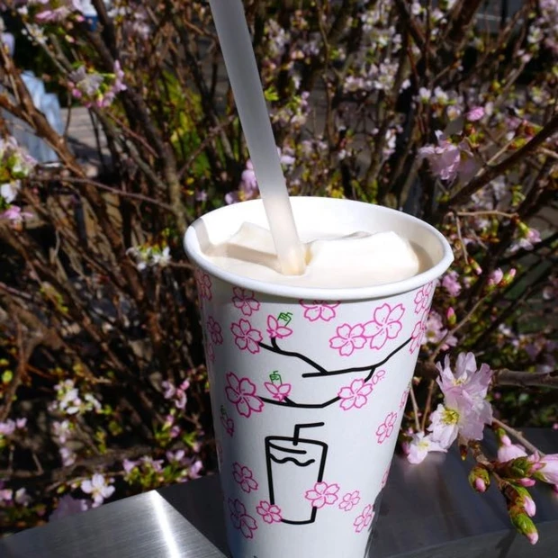 屋外で春の風を浴びながら。シェイク シャックの春限定「Shack-ura Shake(シャクラ シェイク)」毎日お店で作られるフレッシュなアイスクリームから作るからこんなにおいしいのか。「フローズンカスタード」の 人気味「バニラカスタード」と薄紅色の桜ジャムの最高タッグ。