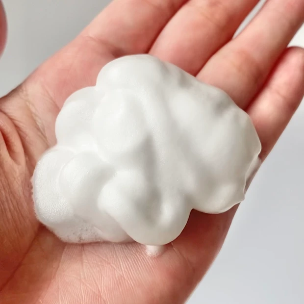 【時短】乾燥肌が使うべき冬の泡洗顔はこの2択!_5