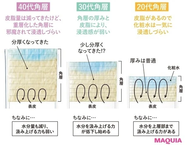 角層とは?_1. そもそも角層を潤すのは難しい