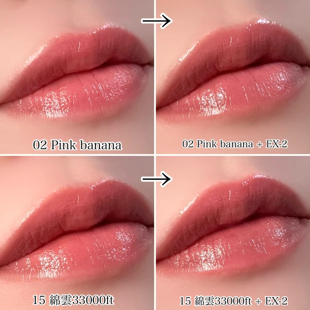 KATE ケイト リップモンスター カラートナー EX-2 鉄色モンスター