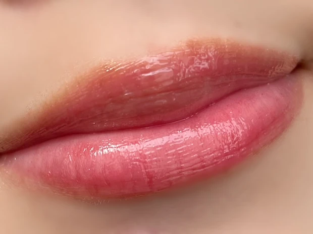 ポールアンドジョー グロッシールージュ ブルベが使ってみた