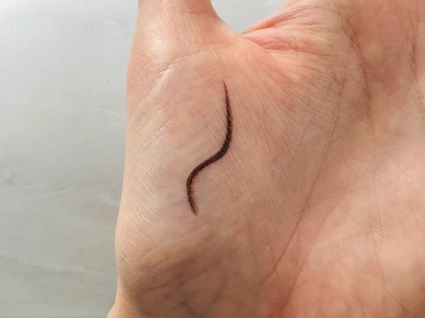 セザンヌの極細アイライナーEXプラスのスウォッチ