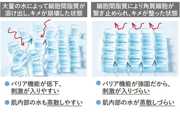 【実験6】角層へ一気に&大量に水分を与えるのは逆効果