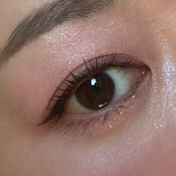 【プチプラ⭐︎キスミーフェルム】限定アイシャドウ デューイーピンクレビュー【大人かわいい】_3_1