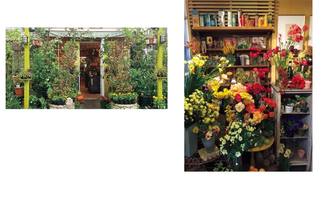 「自宅のお花はほとんどこちらで。野原で摘んだかのような小花など、珍しいお花をセンスよく合わせてくれるのでちょっとした贈り物にも」