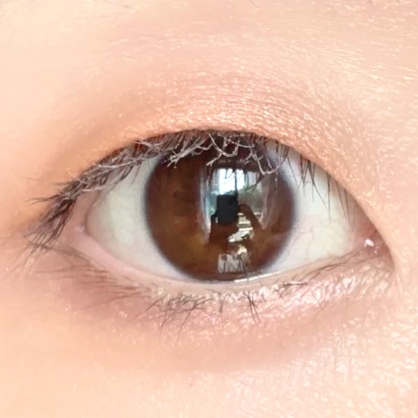 suqqu　アイシャドウ　イエベ