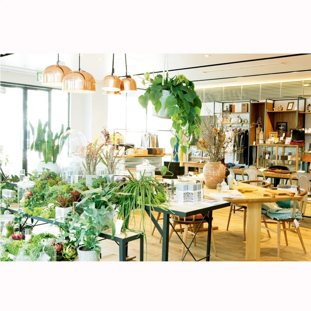 見た目だけでなくライフスタイルから美しく！ センスのいい大人の女性を目指…