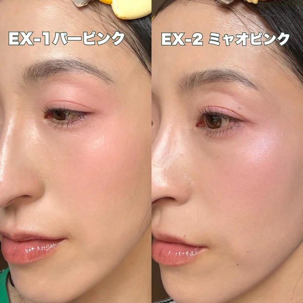 着画比較