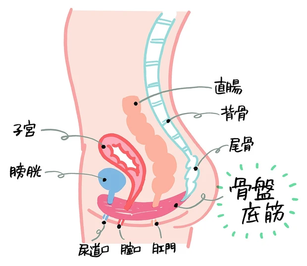 先週もっとも読まれたのは?人気記事ランキングTOP15【10/28~11/3】_13